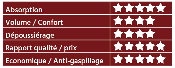 Etoiles copeaux de bois éco