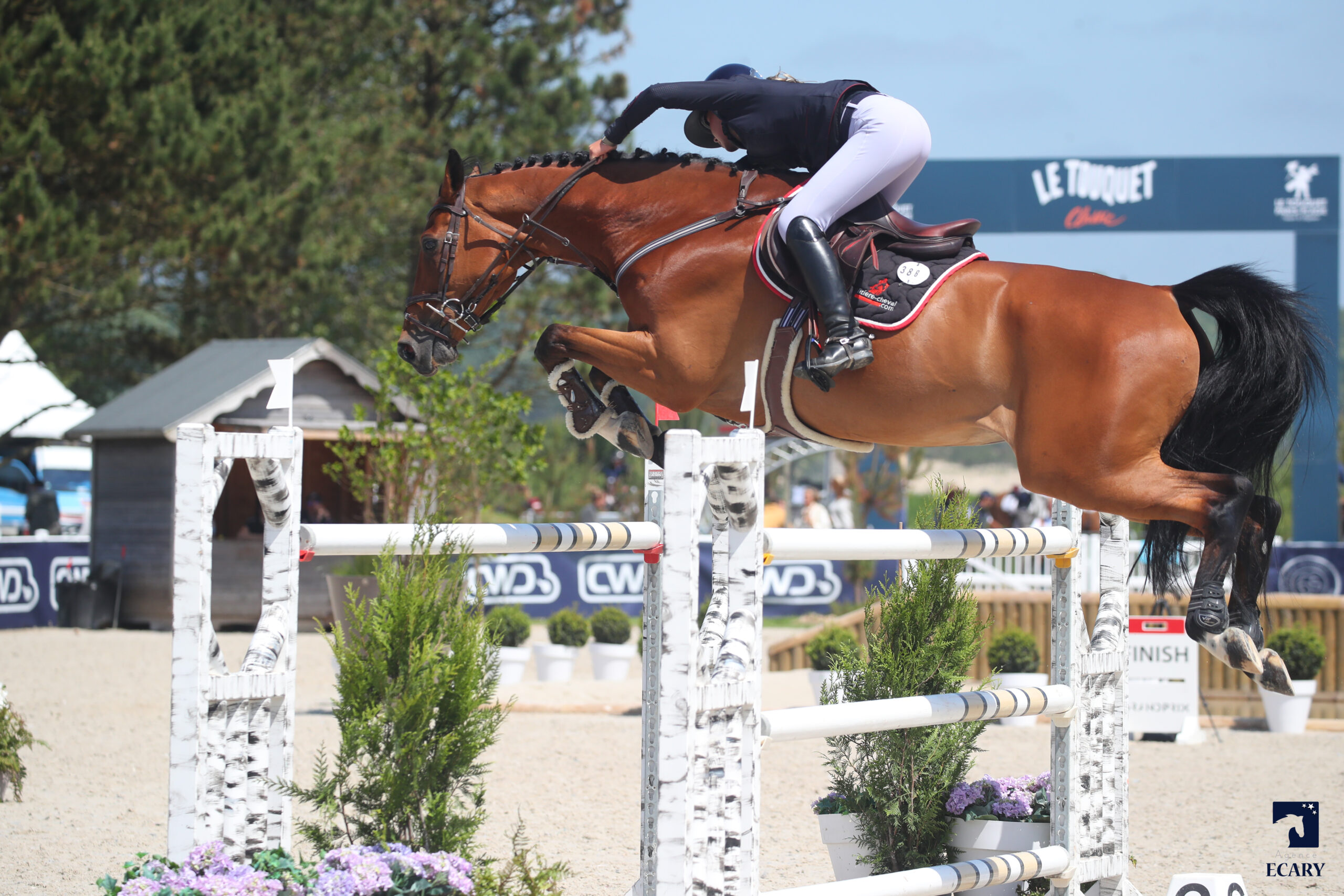 Magnifique performance pour Alice Lainé et Volo*litiere-cheval au CSI 3* Le Touquet