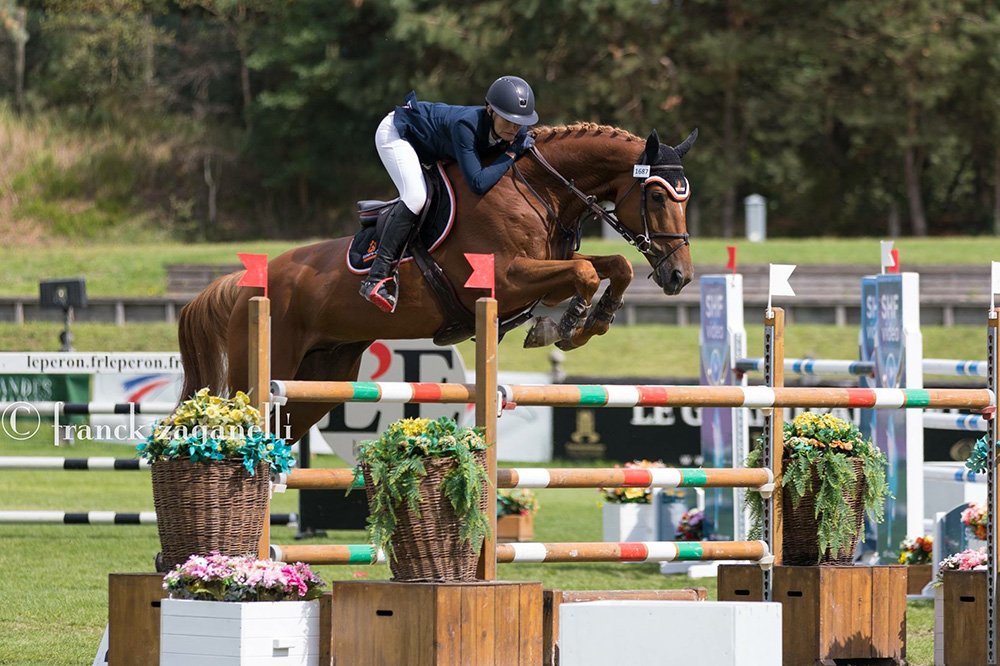 Alexandra Francquart litière pour chevaux