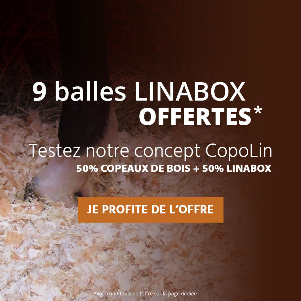 Offre promotionnelle Linabox paille de lin