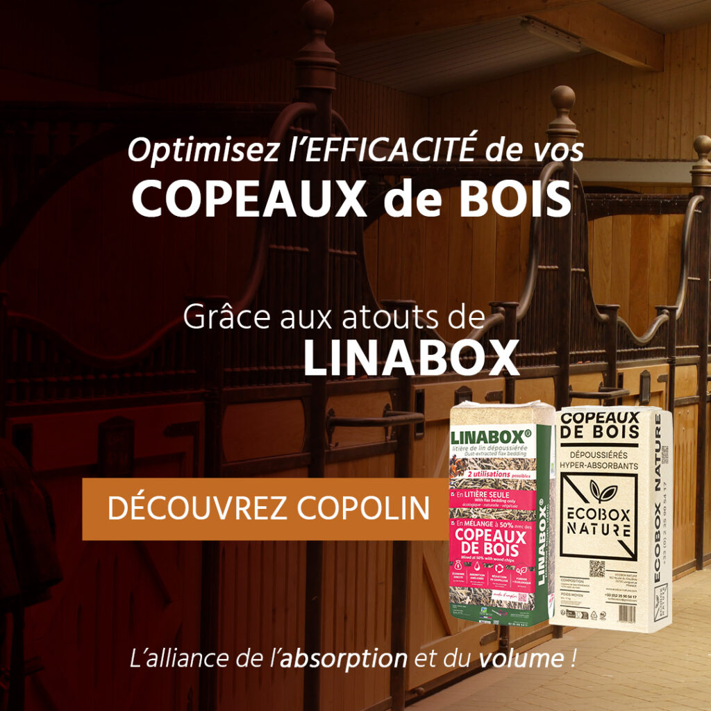 Concept mélange de litières