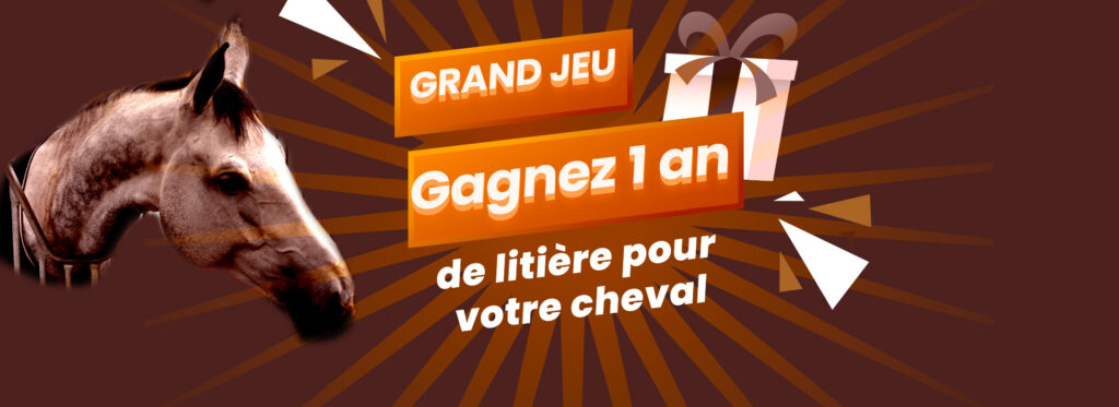 Grand jeu-concours