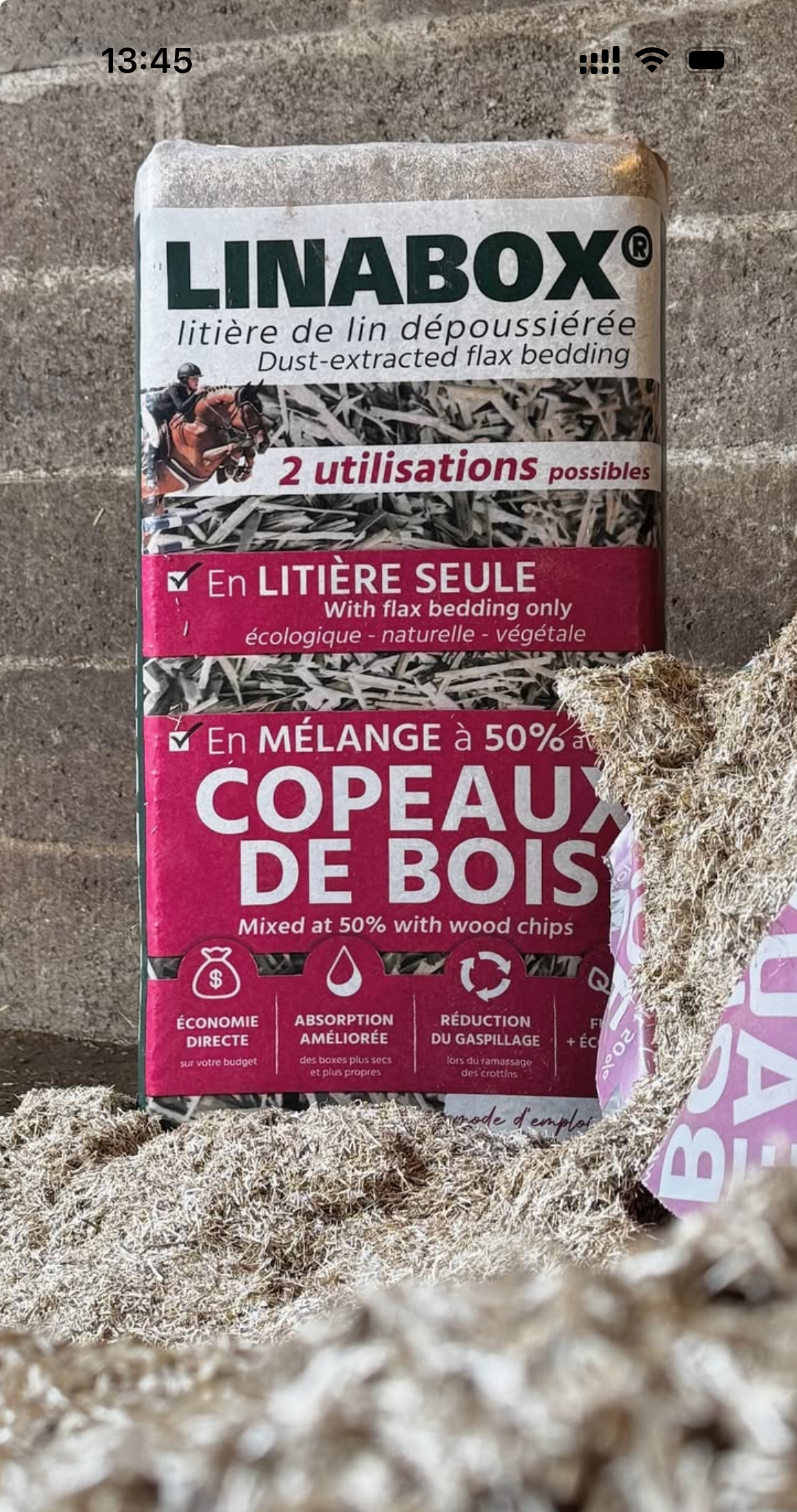 Témoignage du Haras des Maisons Rouges (14) Mme Régine Costrel d’Ursel