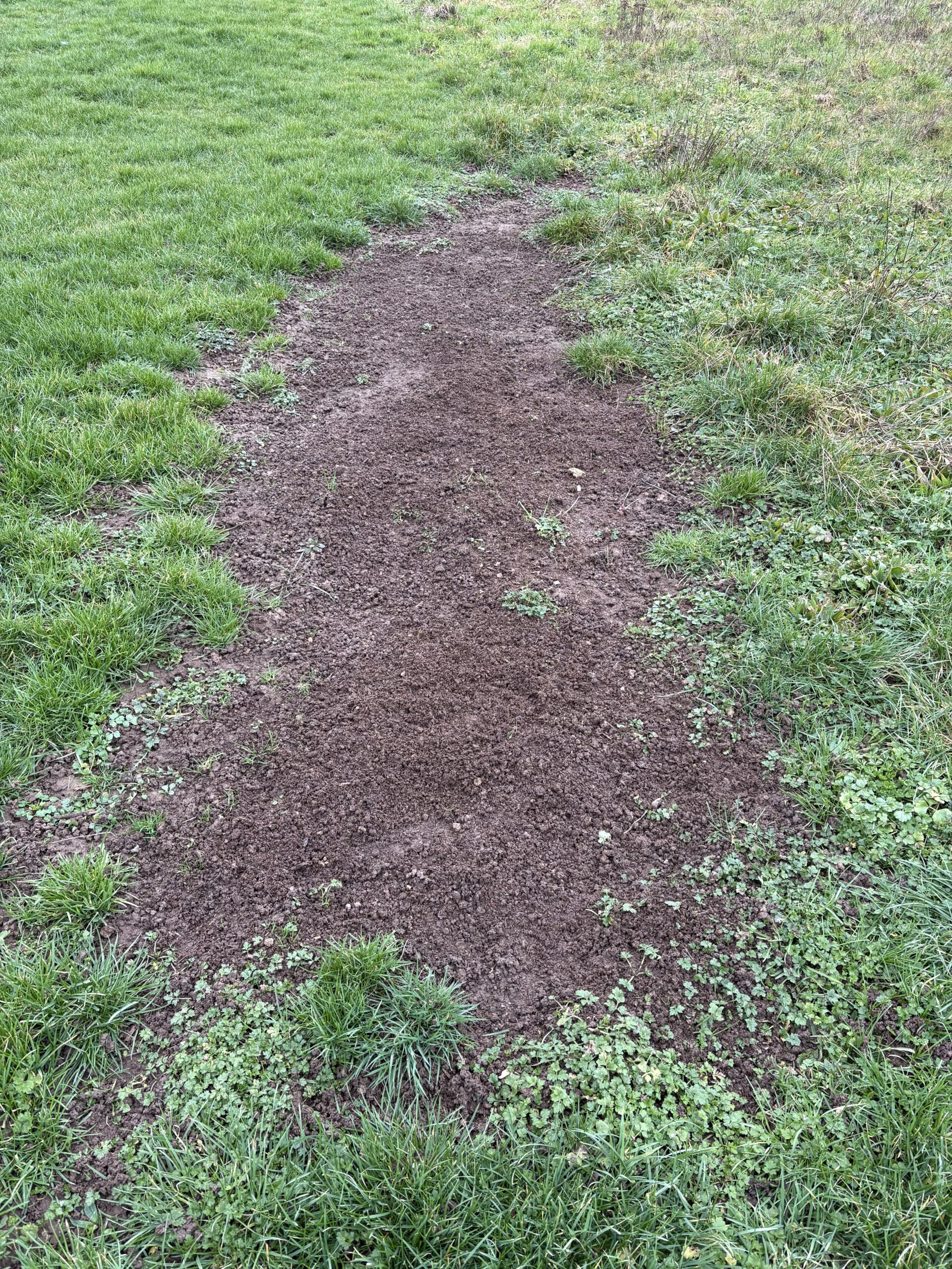 Copeaux de bois et fumier de cheval : l&rsquo;erreur à éviter pour préserver vos sols !